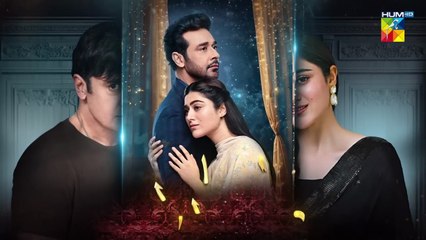 Raaja Rani - Episode 12 [CC] - 12th Jun 2025 [ Hina Afridi & Faysal Qureshi ] - HUM TV
