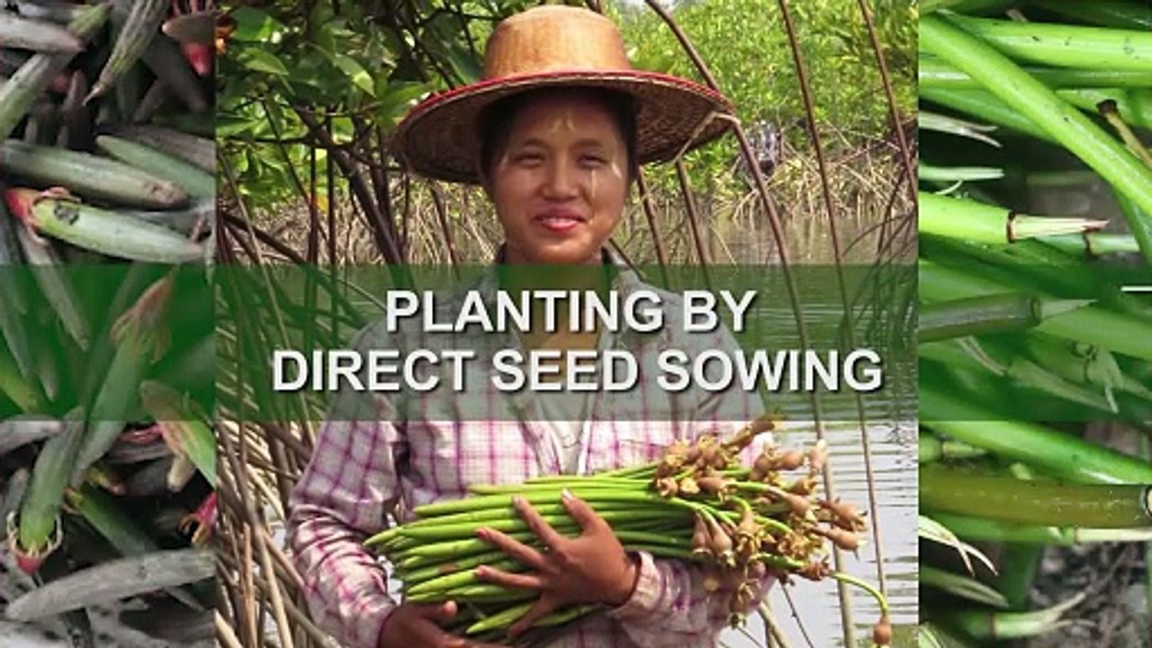 Basic Course Video 7.1