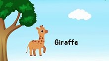 Learn Zoo Animal Names for Kids and Toddlers | Fun Pictures & Sounds | Educational Animal Video |Education Videos | Preschool Learning |