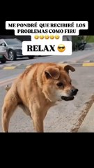relax enfrentó mis problemas porque se quién soy y de lo que soy capaz