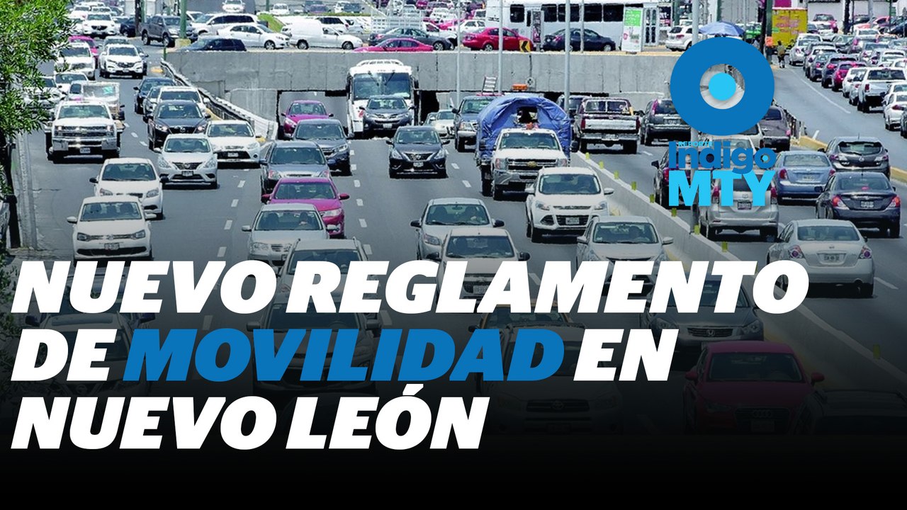 Ni cultura ni educación vial en Nuevo León | Reporte Indigo