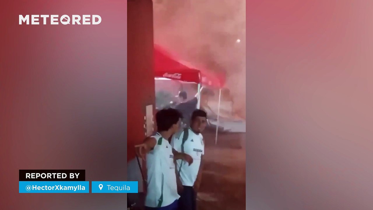 Storms are causing extreme winds in the state of Jalisco, Mexico. Material damage has been reported, and dozens of trees were uprooted by the force of the wind