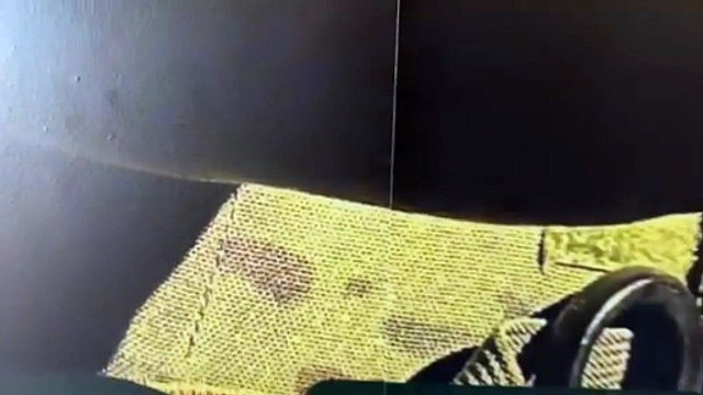 Forças de Segurança apreendem quase 1 tonelada de maconha em Cafezal do Sul