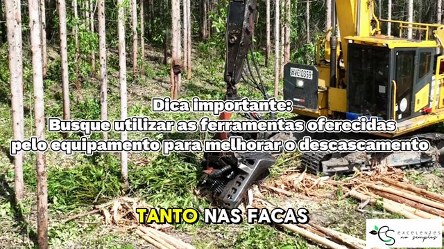 Boas práticas no descascamento
