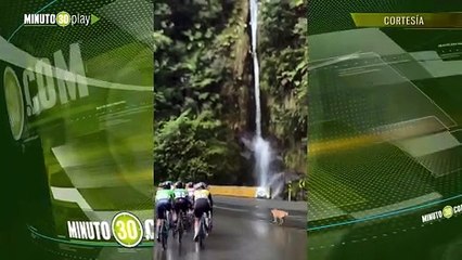 'Pogacan' el perro que se ‘roba’ las miradas de la Vuelta a Colombia Femenina