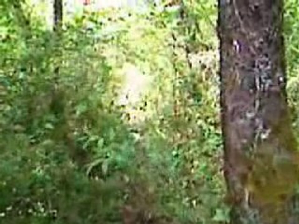 airsoft - opex soft ouest