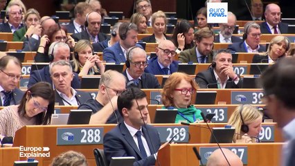 Έρευνα για την χρηματοδότηση των «πράσινων» ΜΚΟ ζητούν δεξιοί ευρωβουλευτές