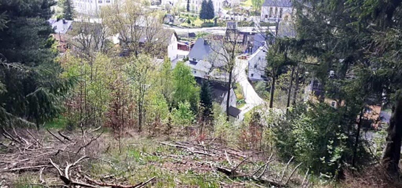 Kirchenglocken läuten Neudorf im Erzgebirge