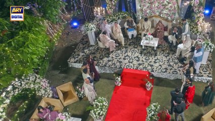 Sher Episode 8   Danish Taimoor   Sarah Khan   12 June 2025   ARY Digital Drama
