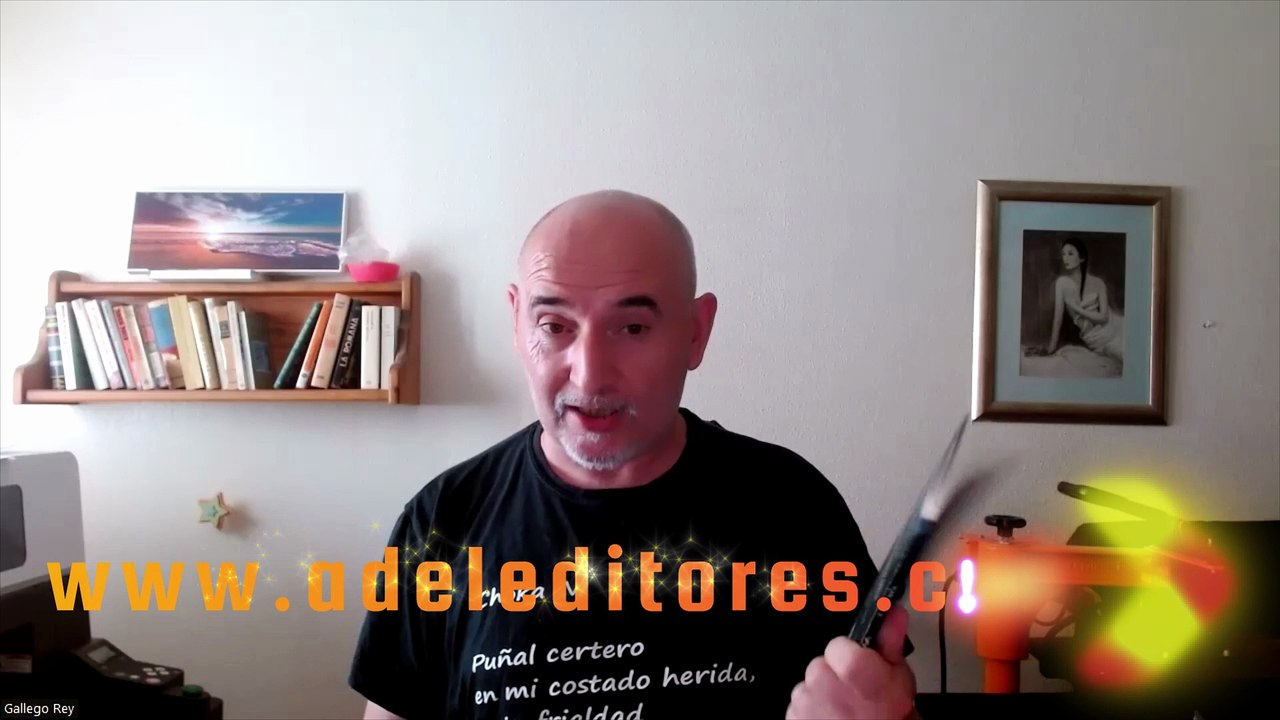 Reseña de O. Elisa/Sofía de fjromero publicado por Adel Editores