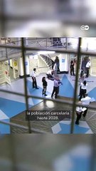 ¿Castración química para violadores?
