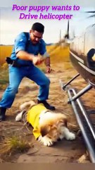Poor puppy wants to drive helicopter.