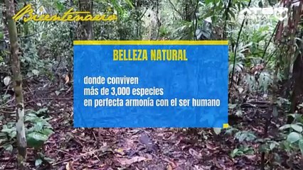 Descubre la biodiversidad única del Parque Nacional Madidi