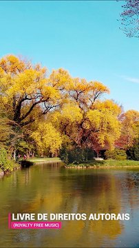 ✅💘Música para Relaxar, Yoga, Meditação- Fragmentos #73 #Shorts