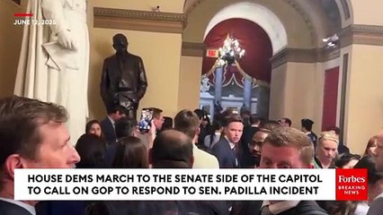 House Democrats Yell At Speaker Mike Johnson Over His Remarks About Alex Padilla Incident
