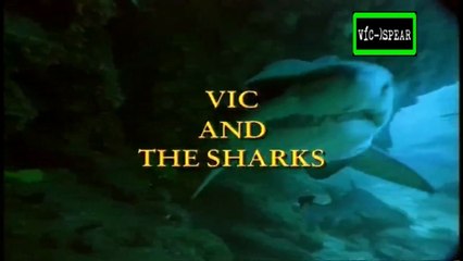 Al Cuidado de la Naturaleza: Vic y los tiburones - Documental (1995) - Español Latino