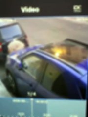 bisogni in pieno centro a reggio