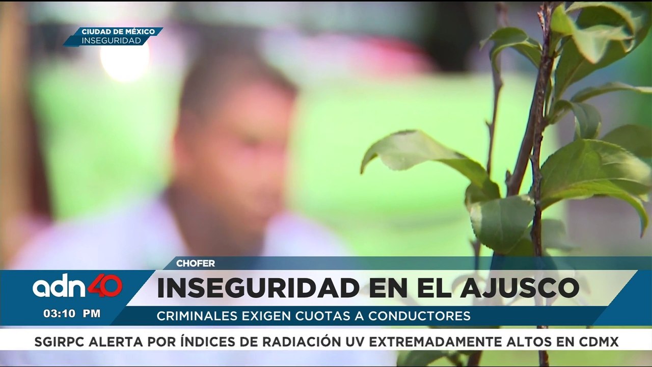 Inseguridad en el Ajusco: grupos criminales cobran cuotas a conductores del transporte público