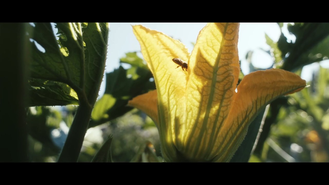 Alpen Film Festival 2025 | movie | 2025 | Official Trailer