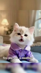 “Not Just Meatballs… YOU Are MY Meatball! 💘🍝🤣”