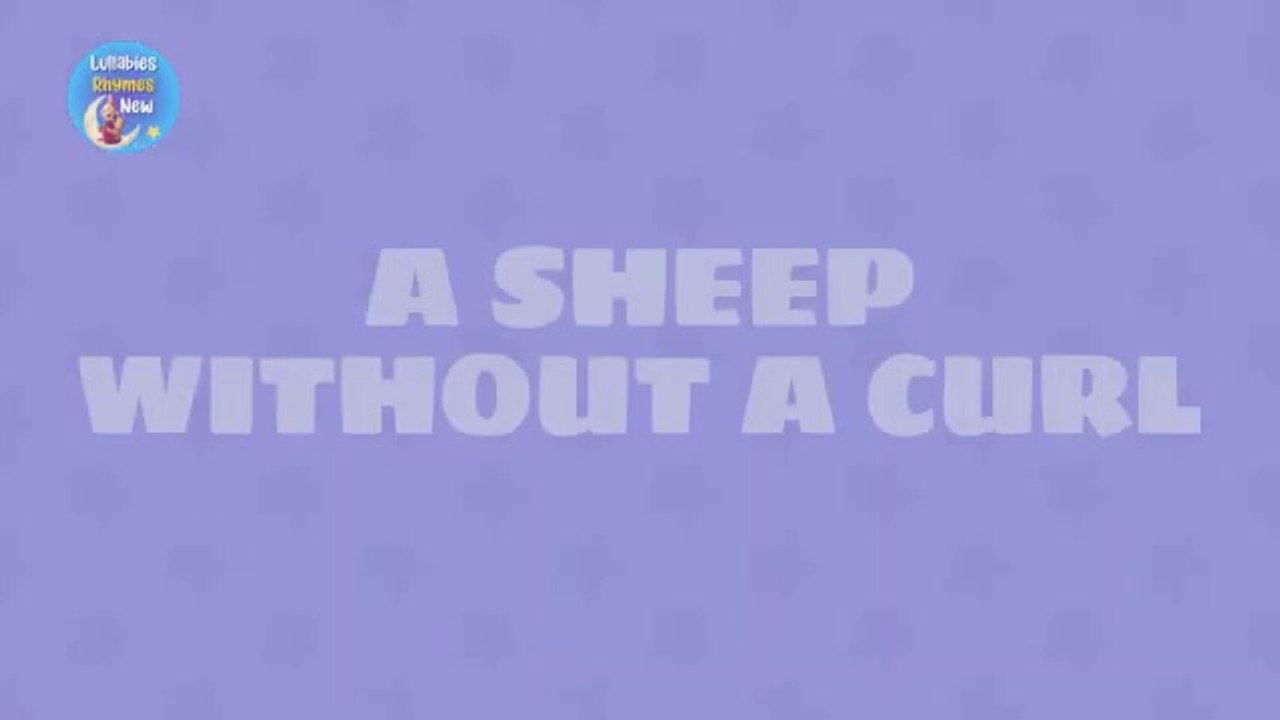 A Sheep Without A Curl _ Nursery Rhymes for Kids _ Beadies Lullaby Rhymes _