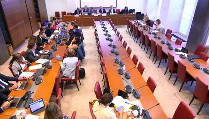 Commission des lois : Procédure accélérée de programmation pour la refondation de Mayotte (suite) - Jeudi 12 juin 2025