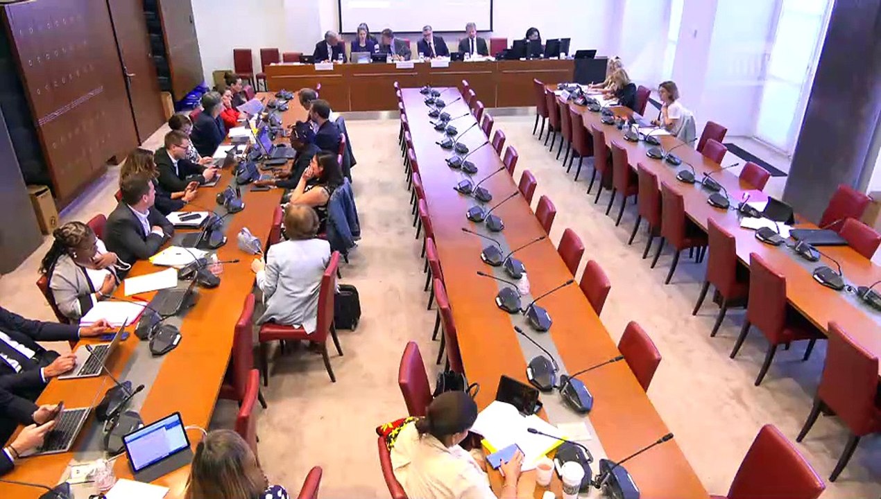 Commission des lois : Procédure accélérée de programmation pour la refondation de Mayotte (suite) - Jeudi 12 juin 2025