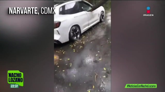 Caída de árboles y autos varados, el saldo de las lluvias en Morelos y Jalisco