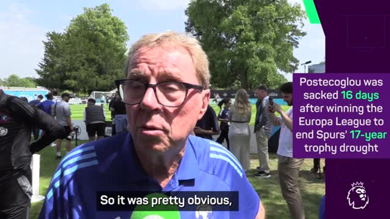 Spurs sacking of Postecoglou was 'inevitable' - Redknapp