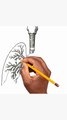 Draw and label lungs like a pro