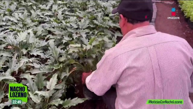 Este migrante mexicano fue alcanzado por las redadas en EUA; hoy está en México, sin dinero ni trabajo