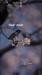 Allah_😇❤_islamic_whatsapp_status____islamic_quotes_#islamicstatus_#islamicquotes_#islamic_#shorts(360p)
