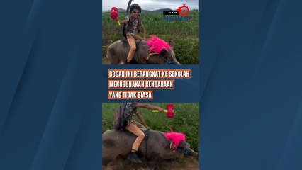 Bocah Ini Berangkat ke Sekolah Menggunakan Kendaraan yang Tidak Biasa