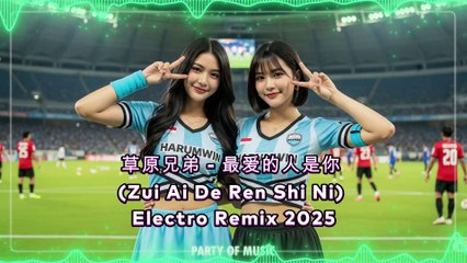 张韶涵 - 梦里花 (Meng Li Hua) ProgHouse Remix 2025 By Harumwin