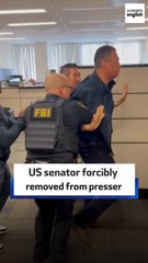 US senator forcibly removed from presser