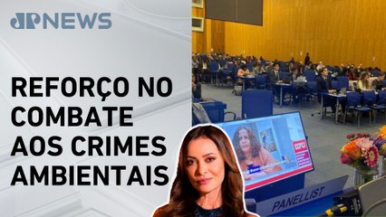 ONU aprova proposta do Brasil para combater crimes ambientais; Patrícia Costa comenta
