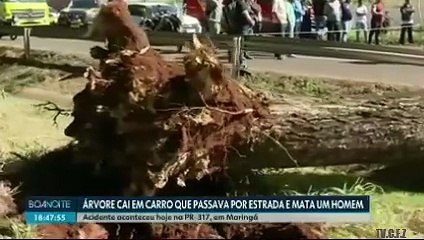 JORNAL DA NOITE 12/06/2025