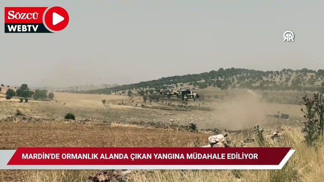 Mardin'de ormanlık alanda çıkan yangına müdahale ediliyor