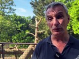 La Région Auvergne-Rhône-Alpes | L'actu du 13 juin -  L'actu en Région Auvergne-Rhône-Alpes - TL7, Télévision loire 7