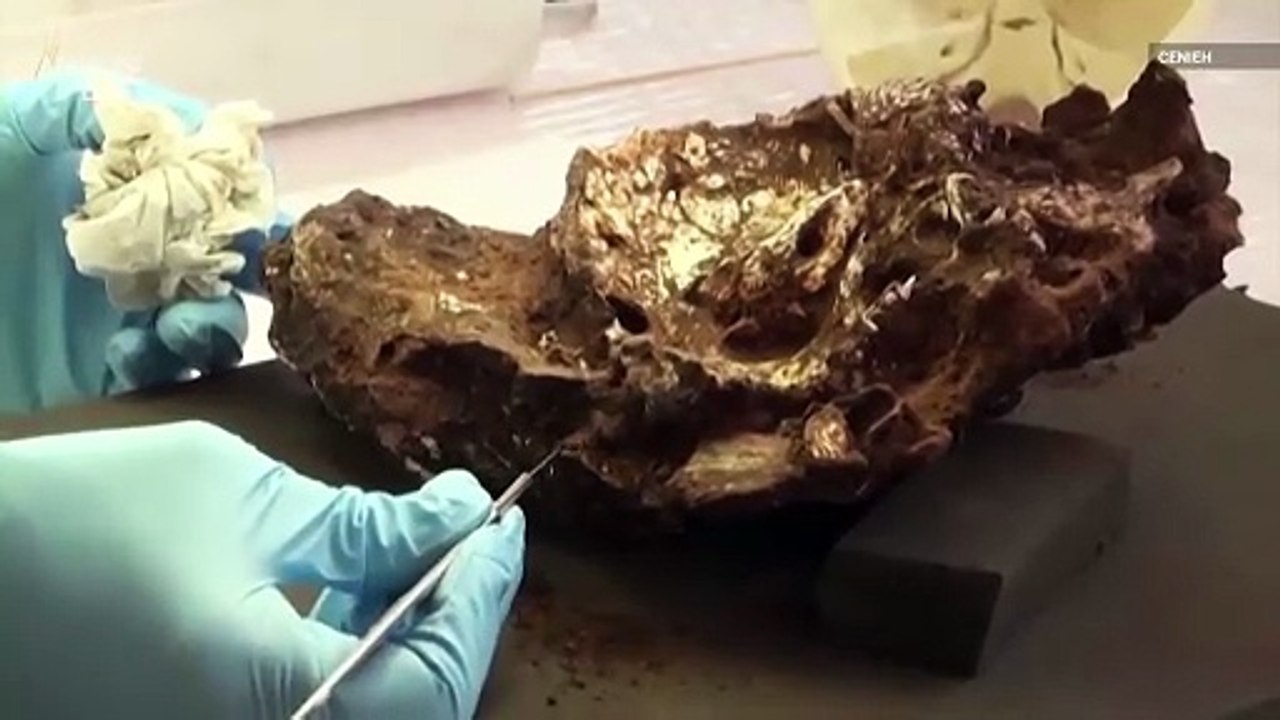Could This Be the Oldest Human Grave Ever Found?.mp4
