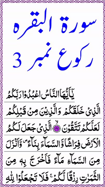 surah baqarah ruku no 03 | quran journey