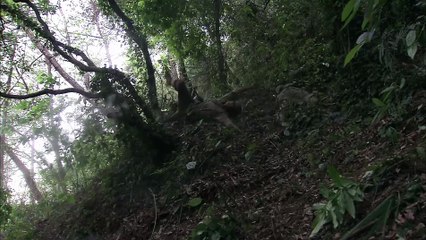 我的團長我的團 08 Soldiers And.Their Commander 2009 康洪雷導演 段奕宏 張譯 張國强 邢佳棟