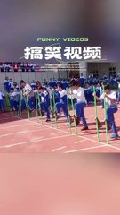 🤣🤣🤣Funny Videos - Funniest Kittens - Cats And