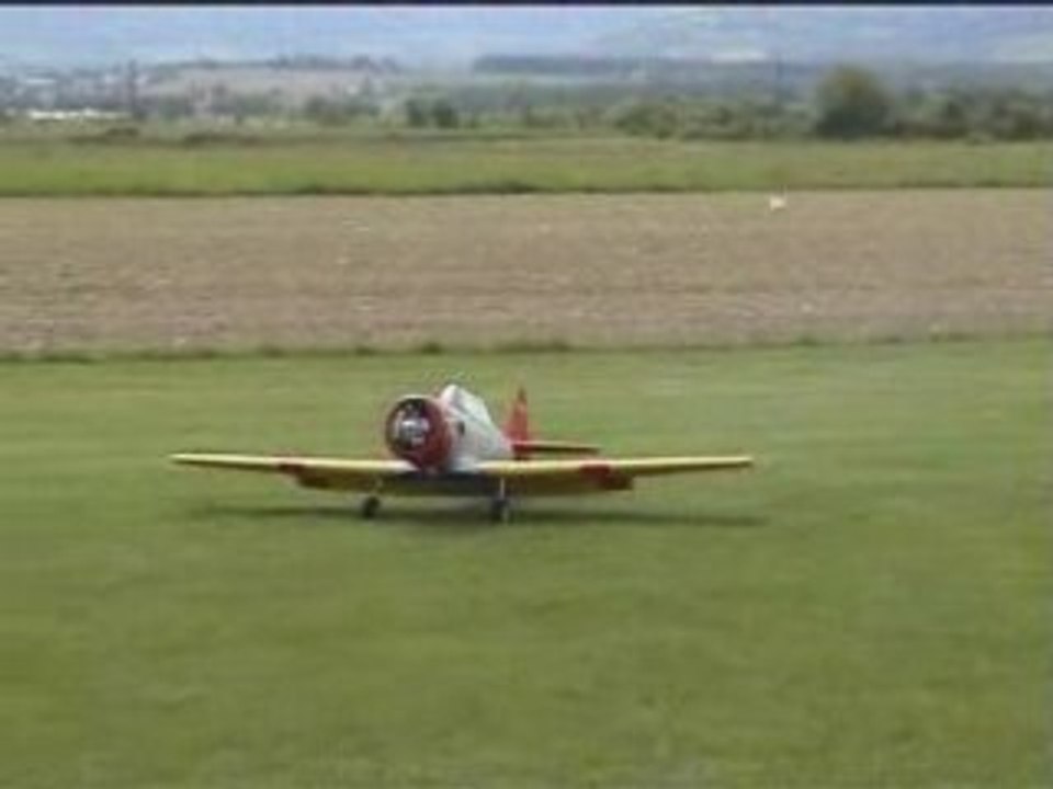 VDZ-WarBirds2006-1