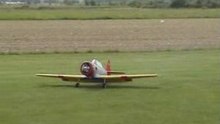VDZ-WarBirds2006-1