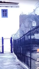 Unexpected Pregnancy: My Slave's Surprising News (Part 1) 🤔