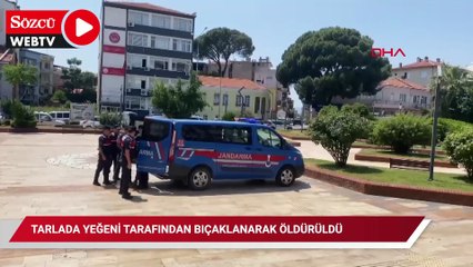 Tarlada yeğeni tarafından bıçaklanarak öldürüldü