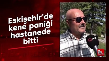 Eskişehir'de kene paniği hastanede bitti