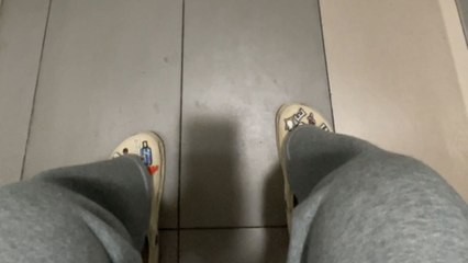 Pet dog stays calm in a bag while watching owner take a bathroom break at the mall