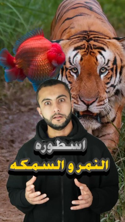 🧙‍♂️ كائن أسطوري نصفه نمر ونصفه سمكة؟https://psce.pw/7qj77w#النواة #نمر #سمكة#Alnawa #dubai🇦🇪 #dubailife #Panthera_pardus #Pisces #trending #travel #nature #wildlife